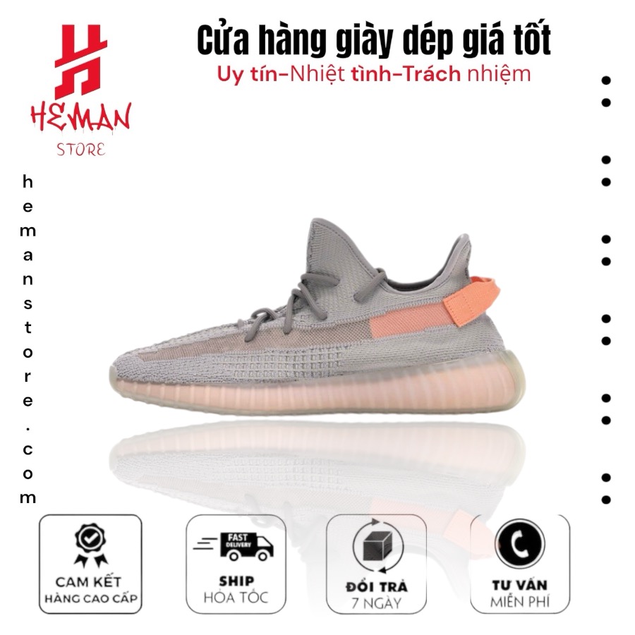 Adidas Yeezy 350 V2 True form 478