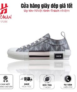 Dior B23 Low Top Gray CD Diamond