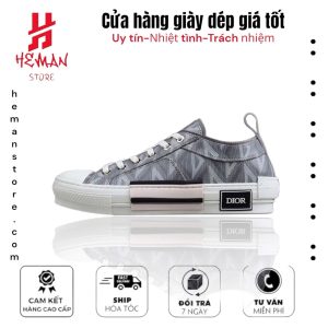 Dior B23 Low Top Gray CD Diamond