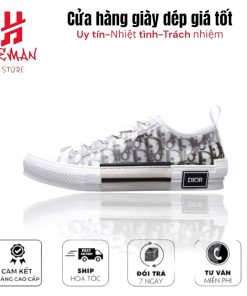 Dior B23 x Kaws Low Top Logo Oblique