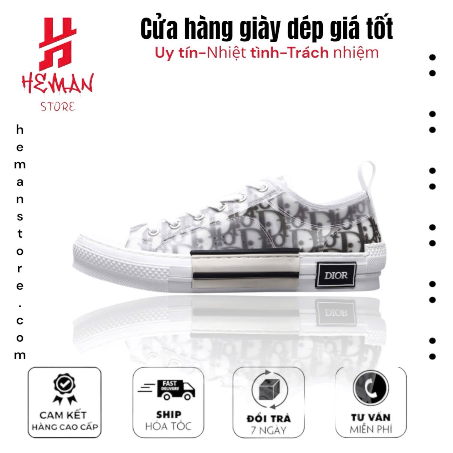 Dior B23 x Kaws Low Top Logo Oblique