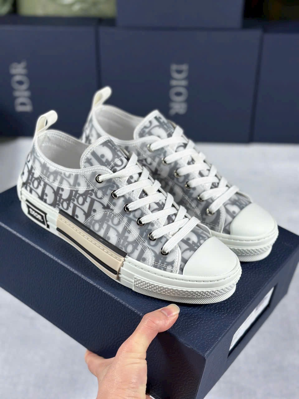 Dior B23 x Kaws Low Top Logo Oblique - Ảnh 2