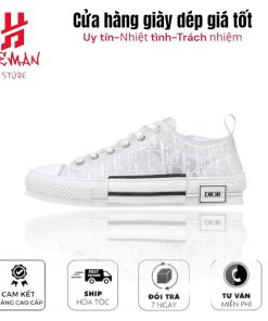 Dior B23 Low Top White Dior Oblique